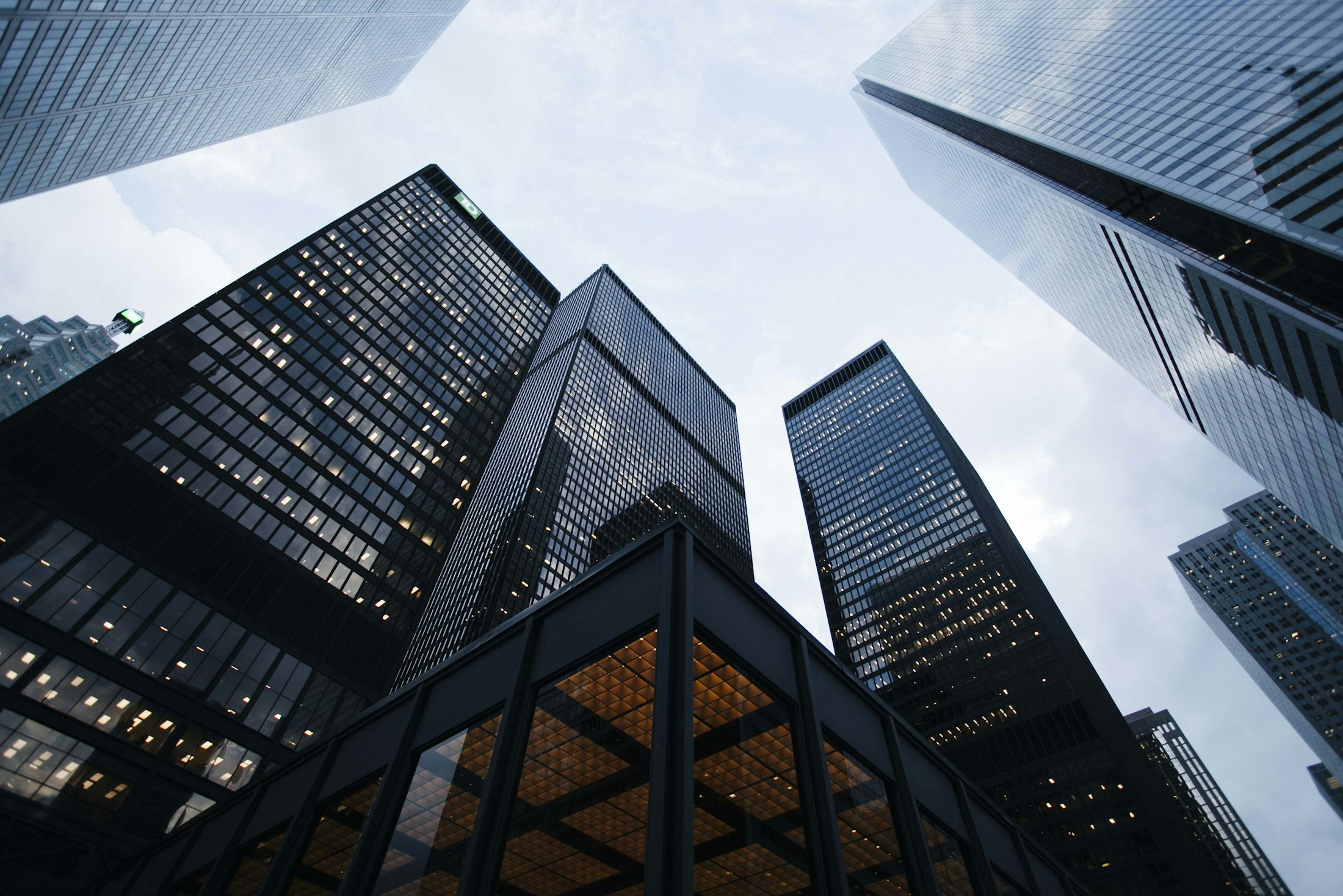 Sculptural glass architecture reaching into the sky